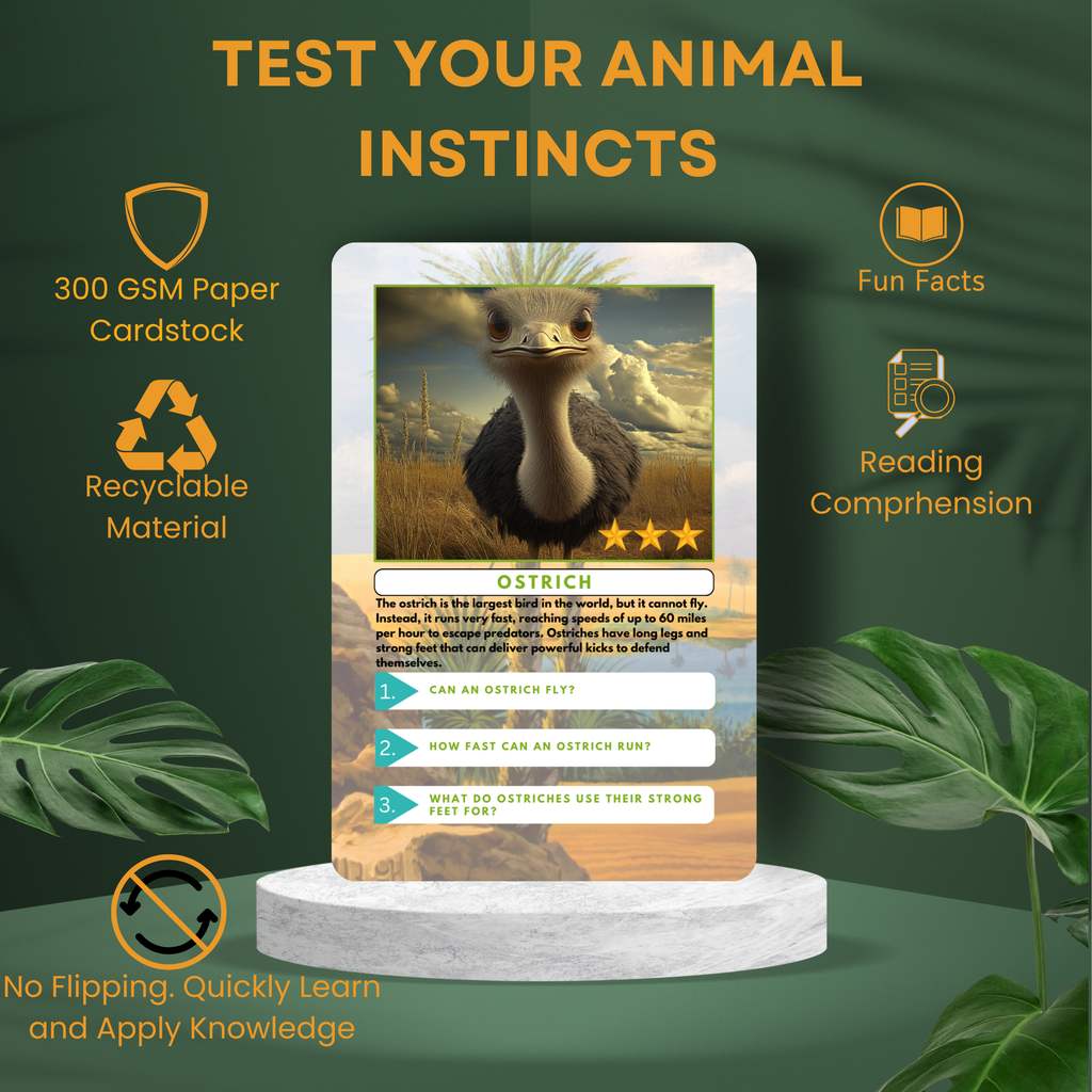 Educational card about ostriches with green background and plant elements