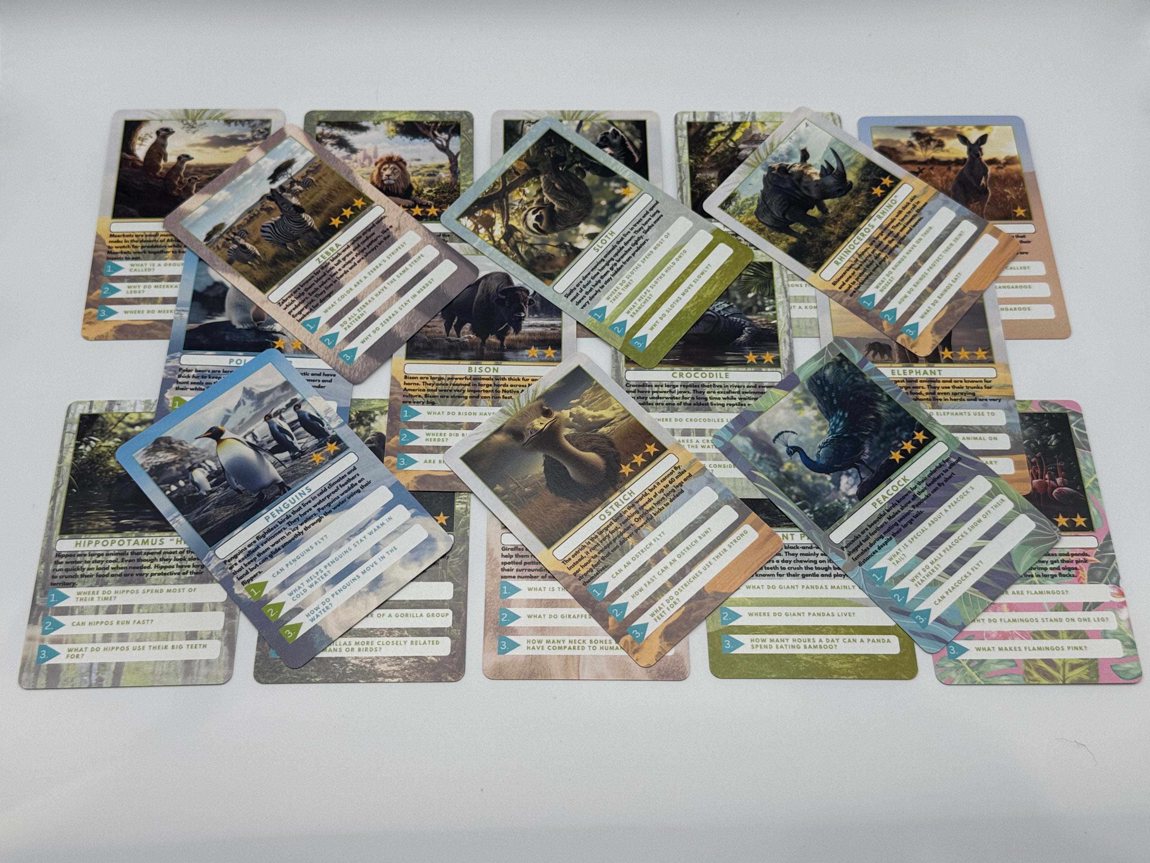 Collection of zoo themed trading cards  designs on a white background